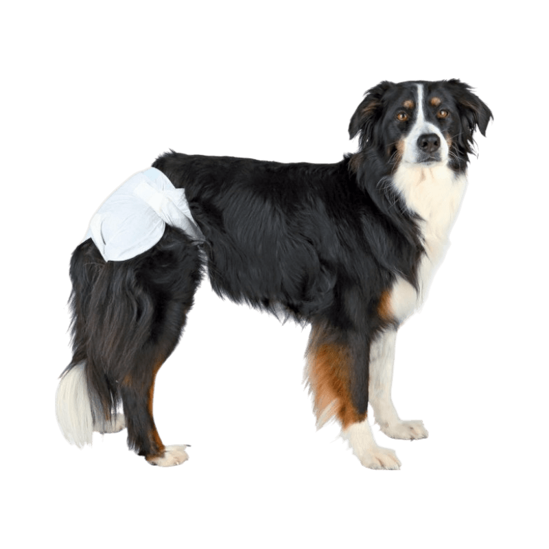 Trixie engångsblöja för tikar, vit modell för medelstor hund, används vid löp eller inkontinens.