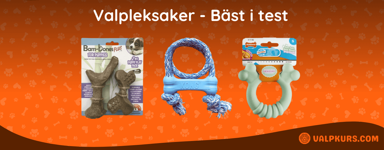 Valpleksaker Bäst i test