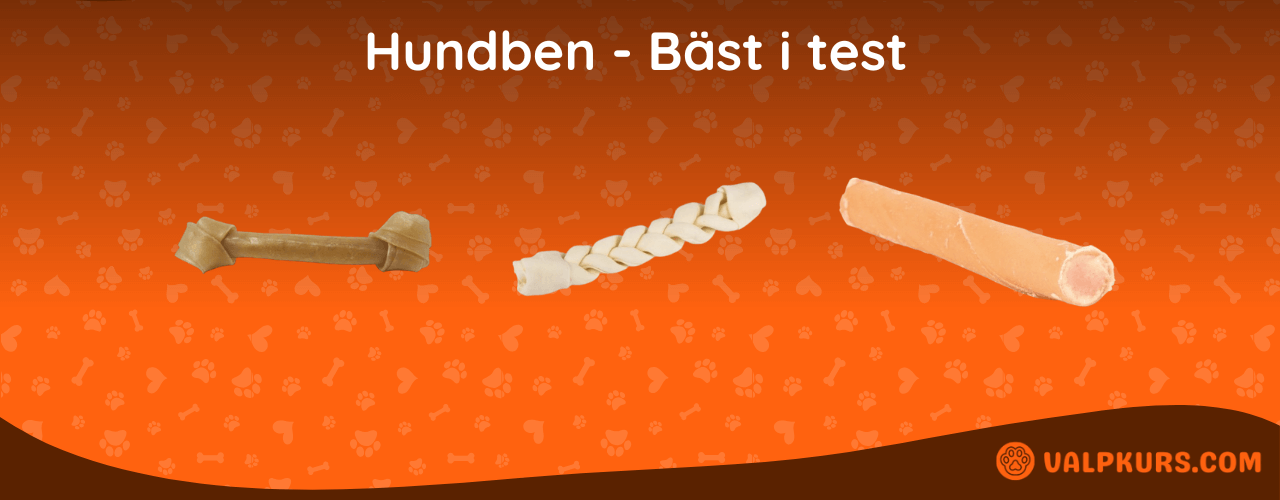 Hundben Bäst i test