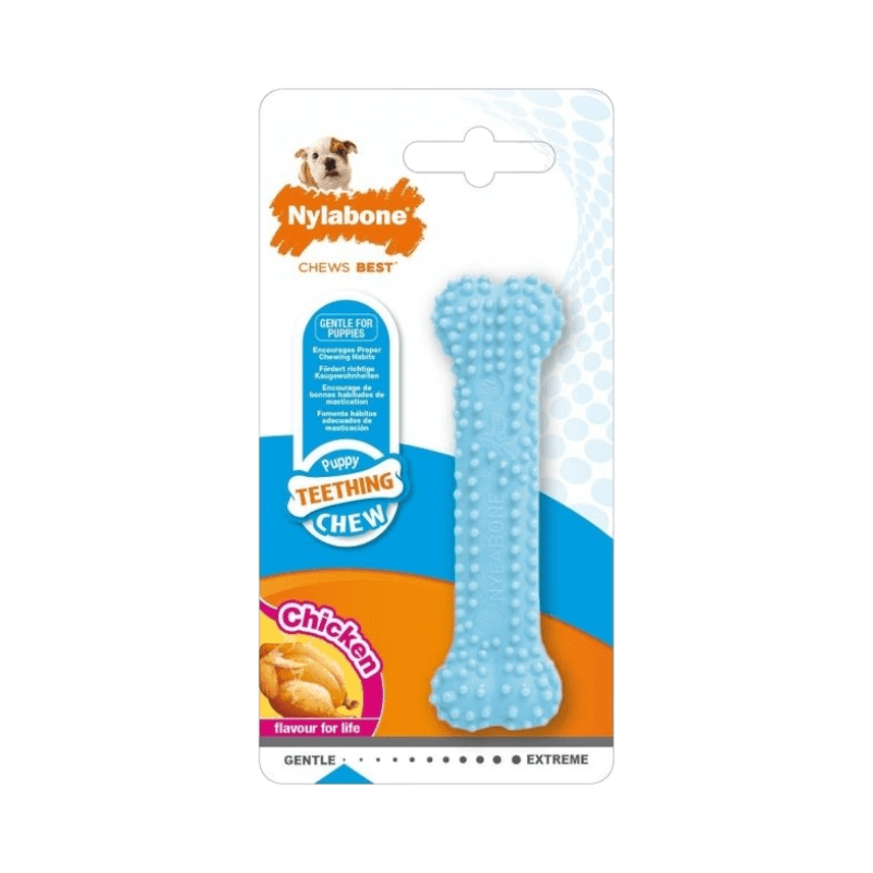 Nylabone blå tuggbensleksak för valpar med kycklingsmak – skonsam för mjölktänder