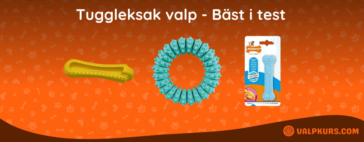 Tuggleksak valp Bäst i test