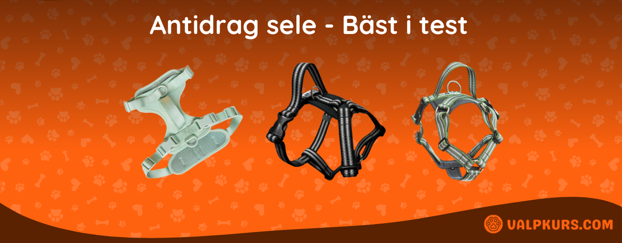 Antidrag sele Bäst i test