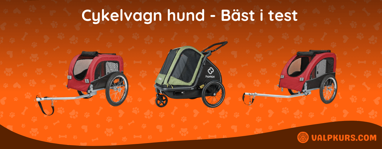 Cykelvagn hund Bäst i test