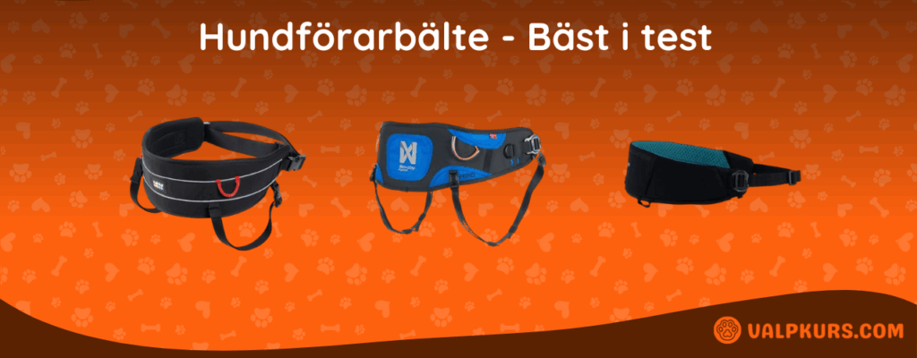 Hundförarbälte Bäst i test