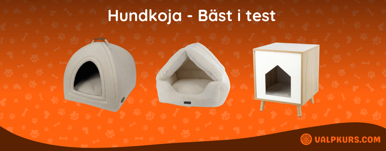 Hundkoja Bäst i test