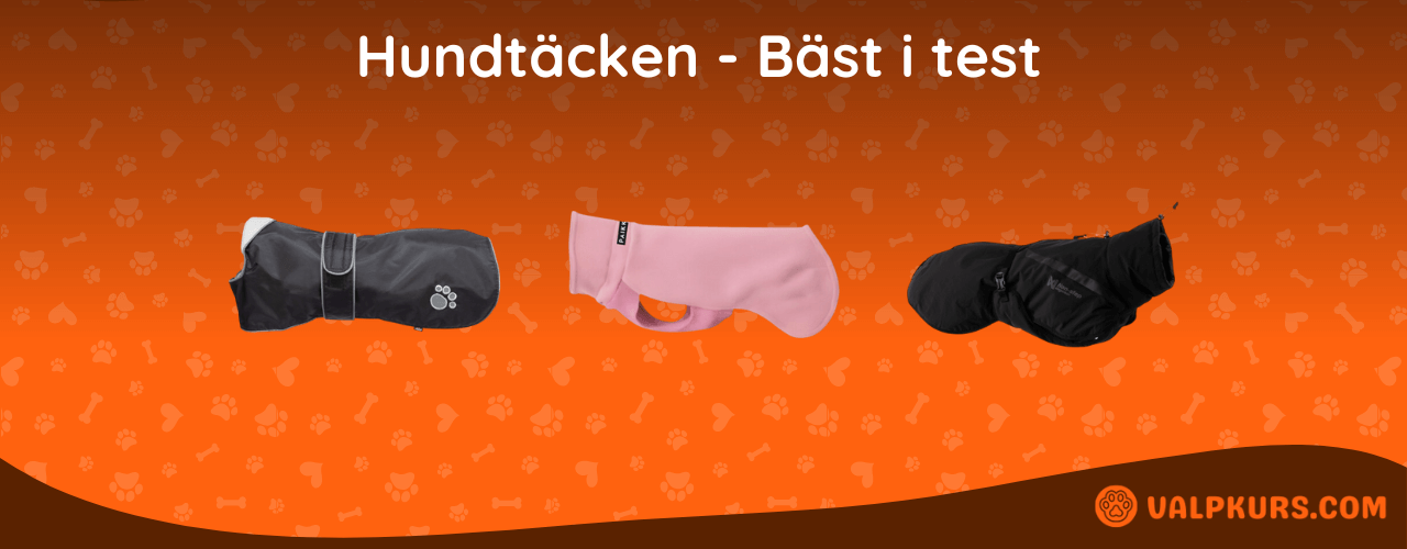 Hundtäcken Bäst i test