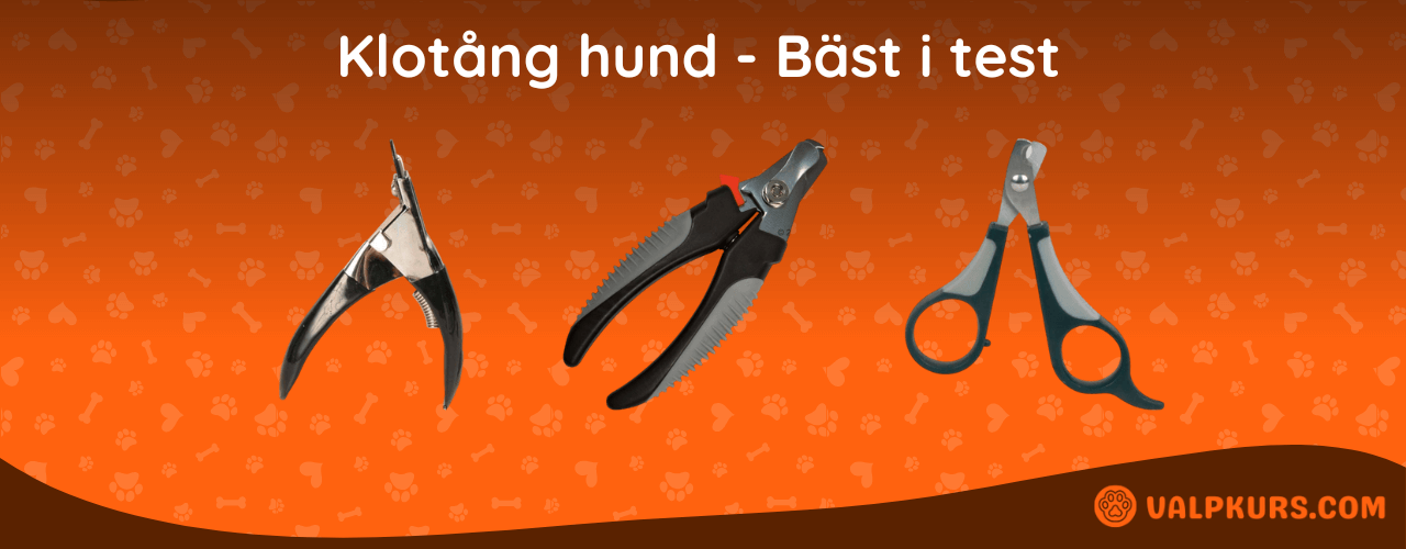 Klotång hund Bäst i test