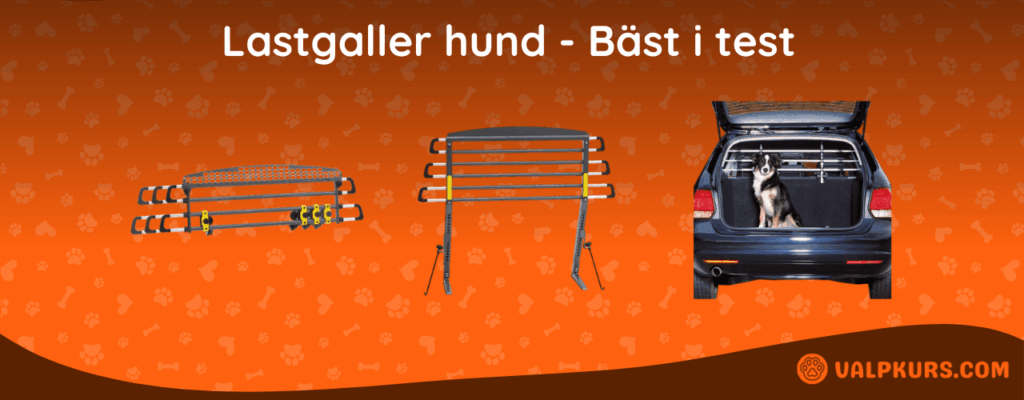 Lastgaller hund Bäst i test