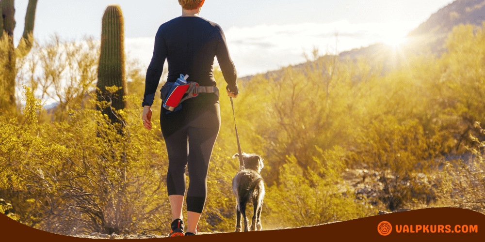 Person som joggar i naturen med hund i koppel, illustrerar aktiv livsstil med husdjur.