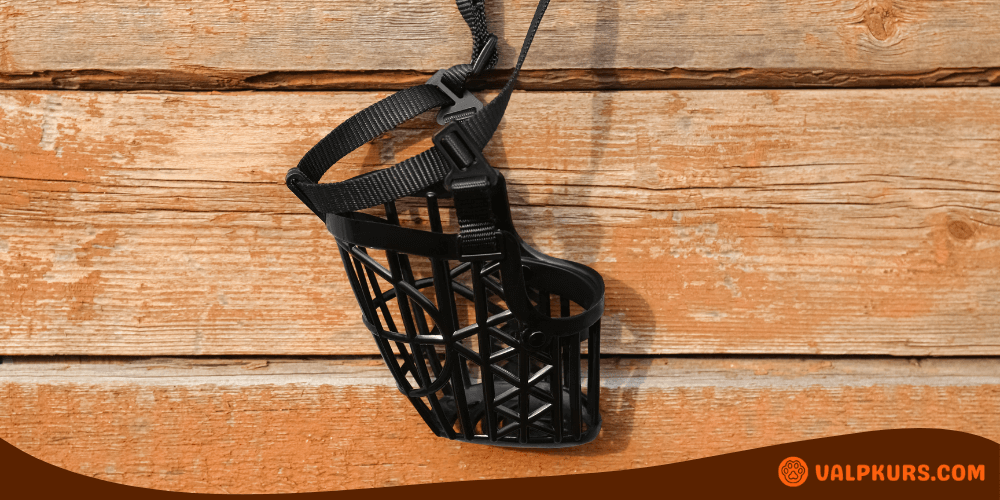 Svart nosgrimma med nätkorg hängande mot trävägg, anpassad för stora hundraser