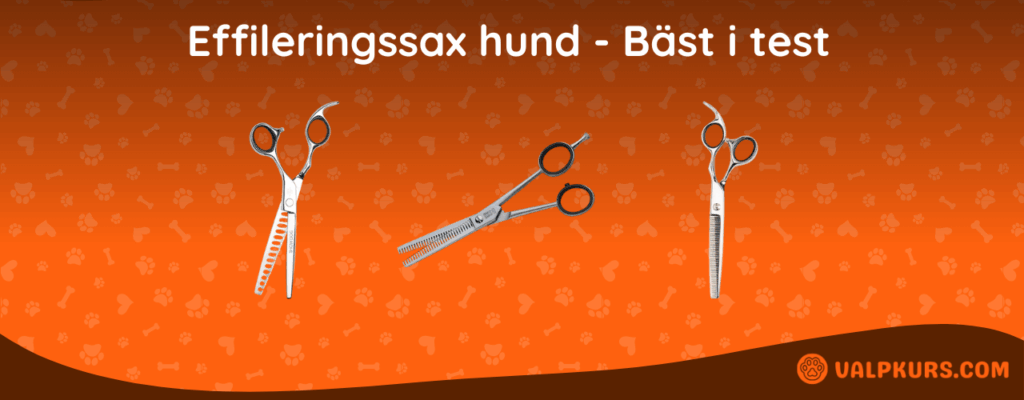 Effileringssax hund Bäst i test