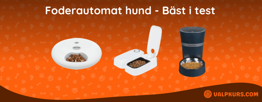Foderautomat hund Bäst i test
