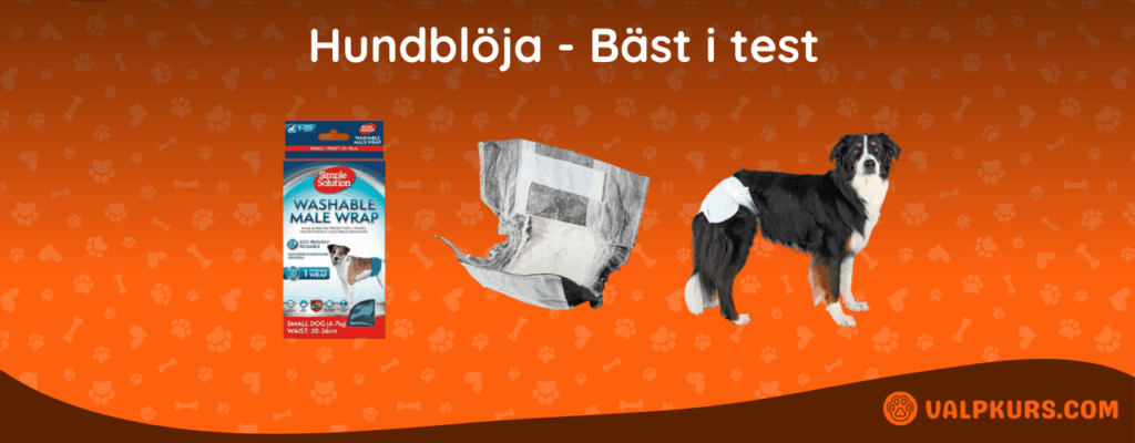 Hundblöja Bäst i test