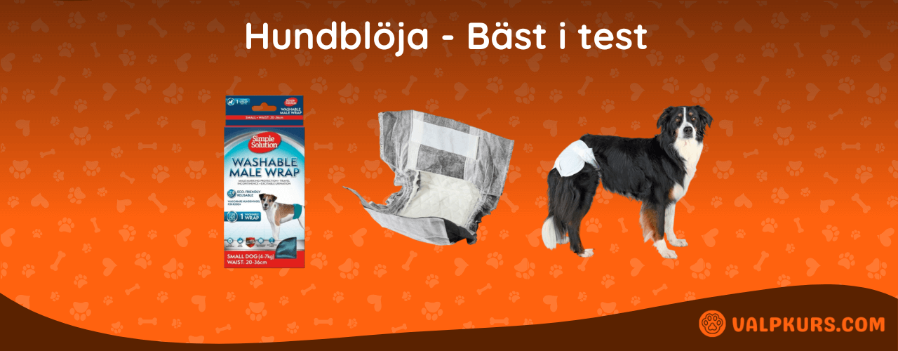 Hundblöja Bäst i test