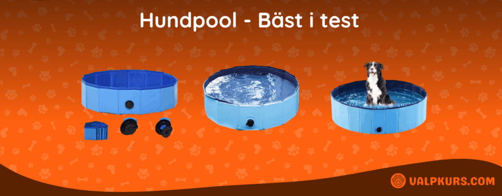 Hundpool Bäst i test