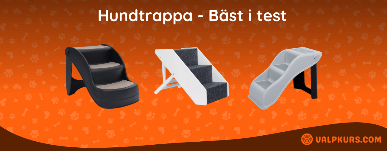 Hundtrappa Bäst i test