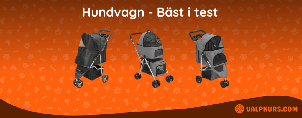 Hundvagn Bäst i test