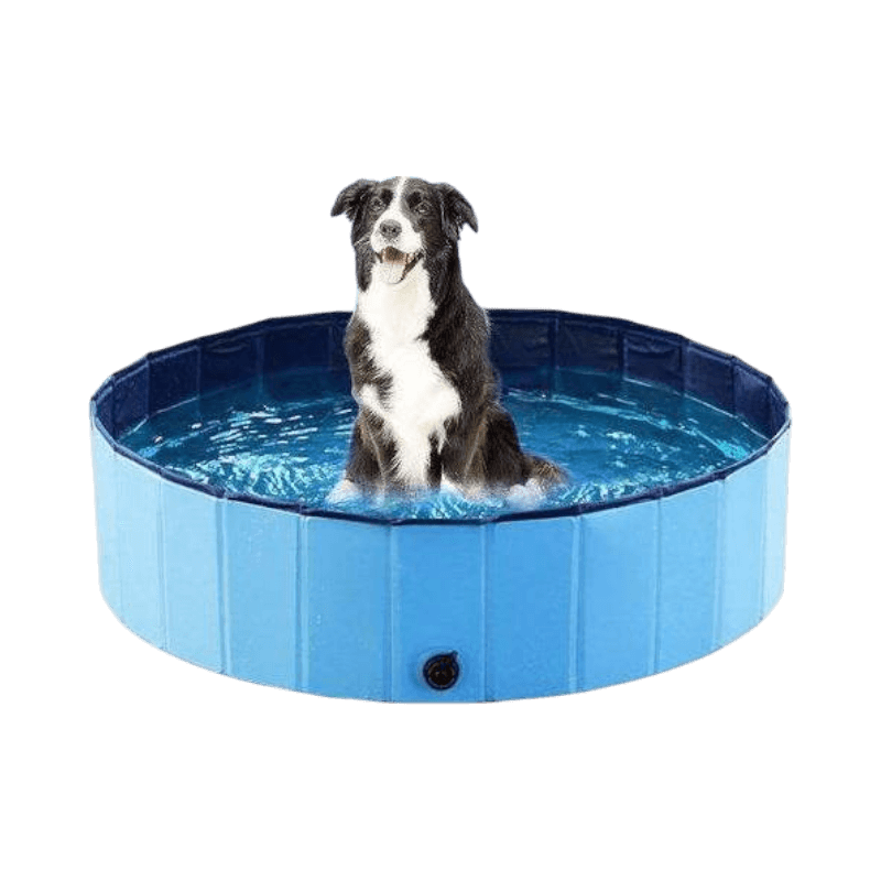 Blå hundpool med hund som sitter i vattnet, idealisk för svalkande sommarbad.