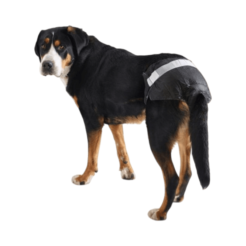 Engångsblöja för hund i 12-pack från Savic, med mjuk resår och hög absorptionsförmåga.