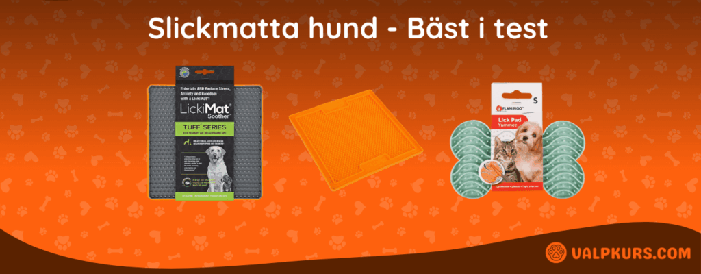 Slickmatta hund Bäst i test