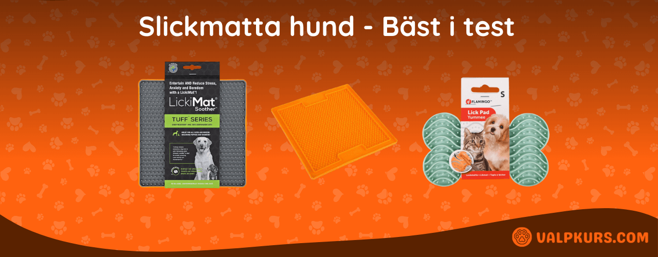 Slickmatta hund Bäst i test