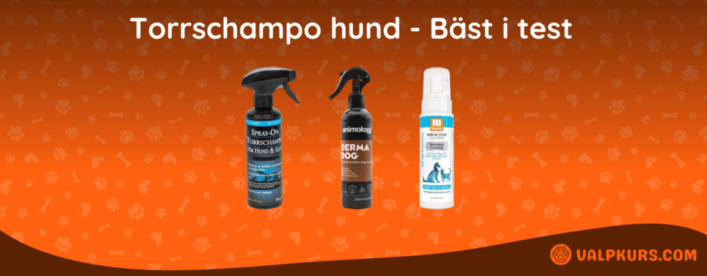 Bäst i test Torrschampo hund